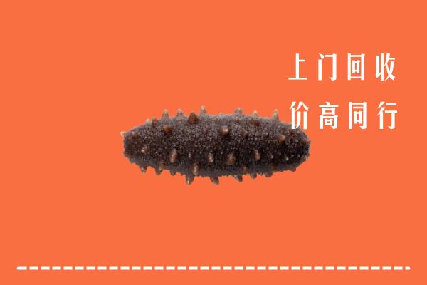 德庆县高价回收海参